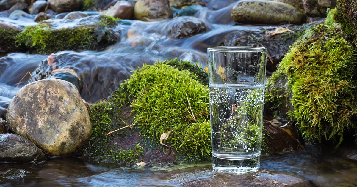 Bottled Water Dispenser Rental Kent & Sussex Divine Water