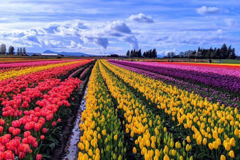 shutterstock_1377434276